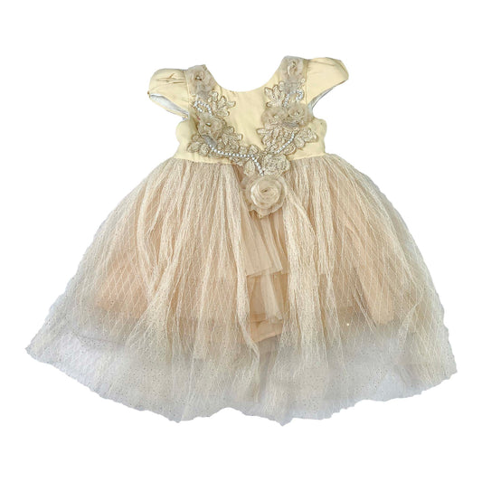 Silk & Net Frock with Floral Neck Design