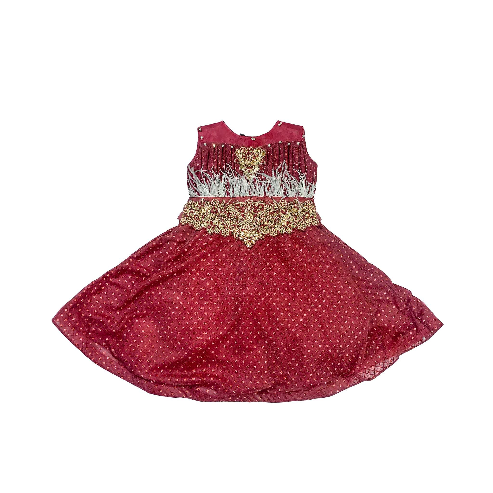 Maroon  Net Frock for Girls with Golden Embroidery & Feather Design