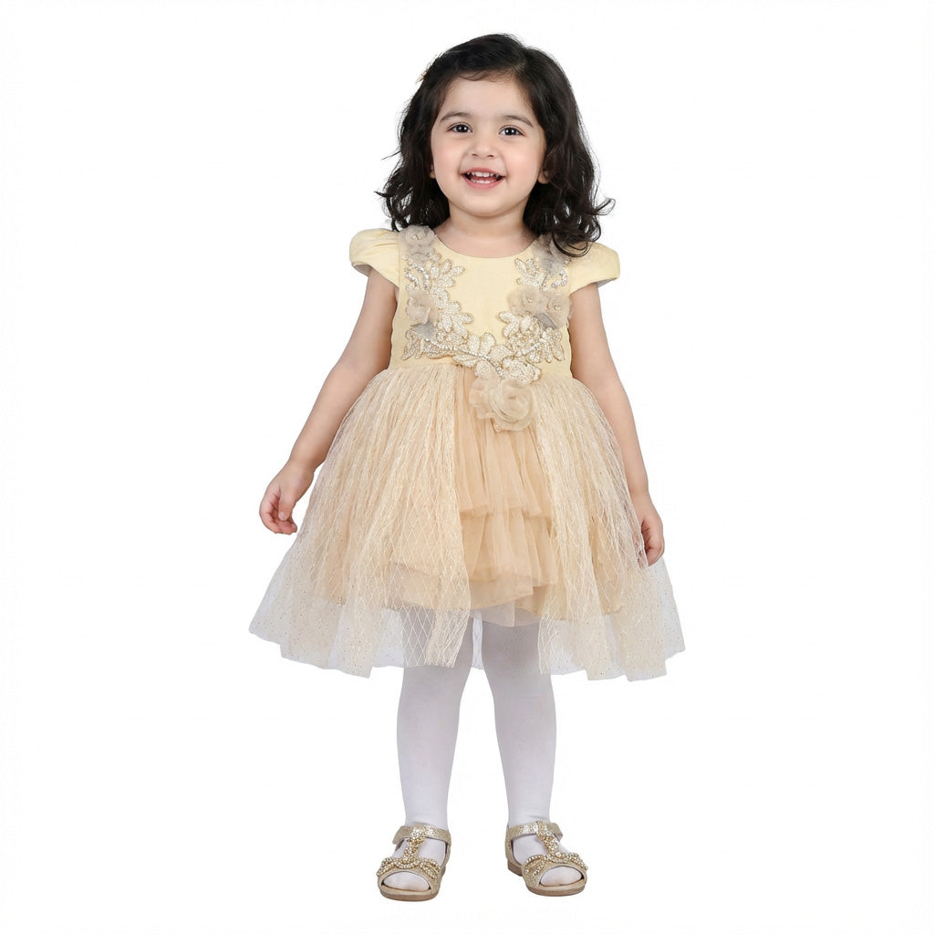 Silk & Net Frock with Floral Neck Design